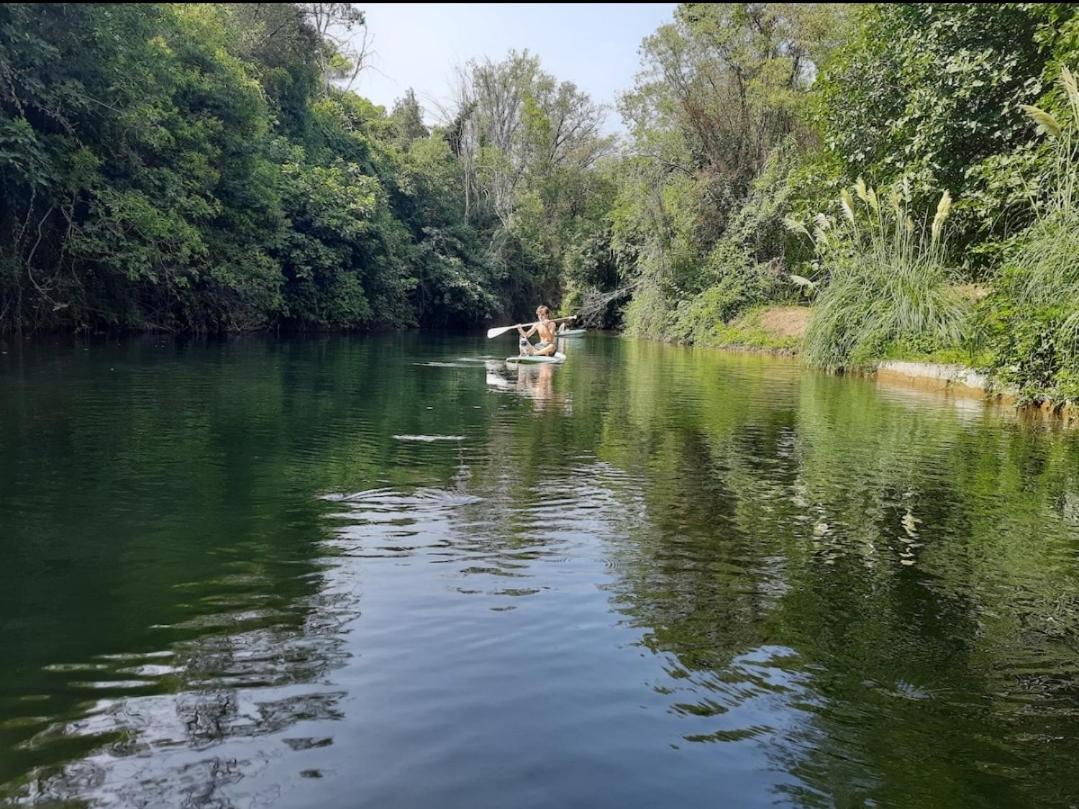 Vila Petit Moulin Le Cannet-des-Maures Exteriér fotografie
